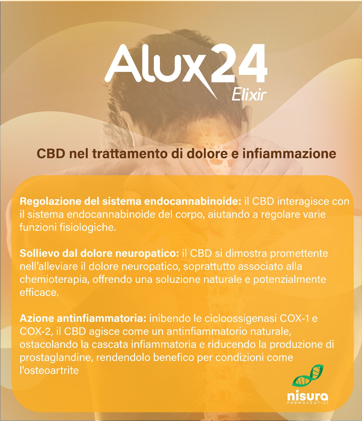 Alux24